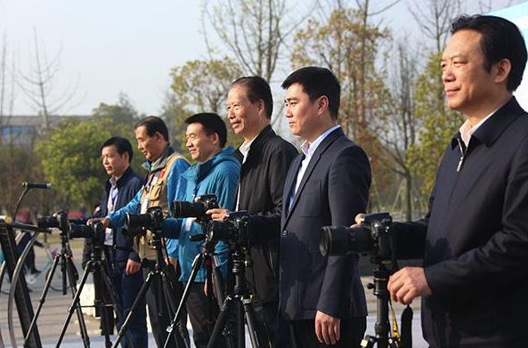 “古玩行2020精品推荐第4期：洪武通宝牧牛花钱”